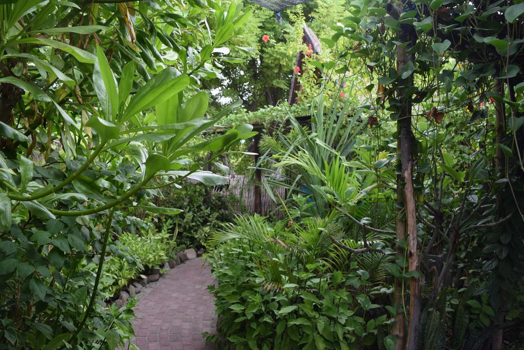 Ana Warung&Bungalows Gili Meno Exterior foto